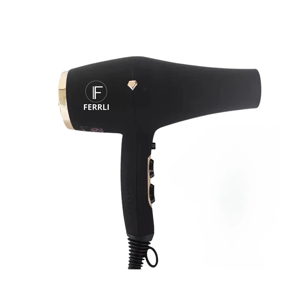 Ferrli Infrared Dryer with negative ion generator